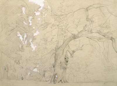 Ein junger Mann vor einer großen Eiche von Jean Baptiste Camille Corot